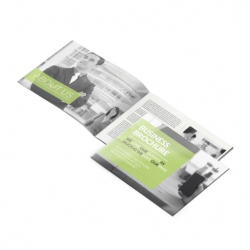Booklets Mini (100lb Silk)