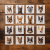 https://umerce.com/image/cache/catalog/decals-removable-equilateral-50x50.png