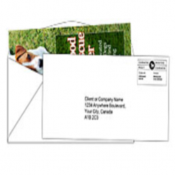 Direct Mail (100lb Brochures Addressed Enveloped)